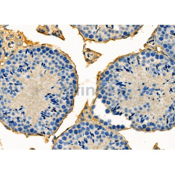 Валидация Affinity DF2758 - 13494