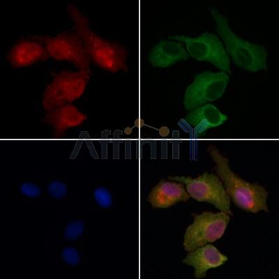 Валидация Affinity DF6337 - 17673