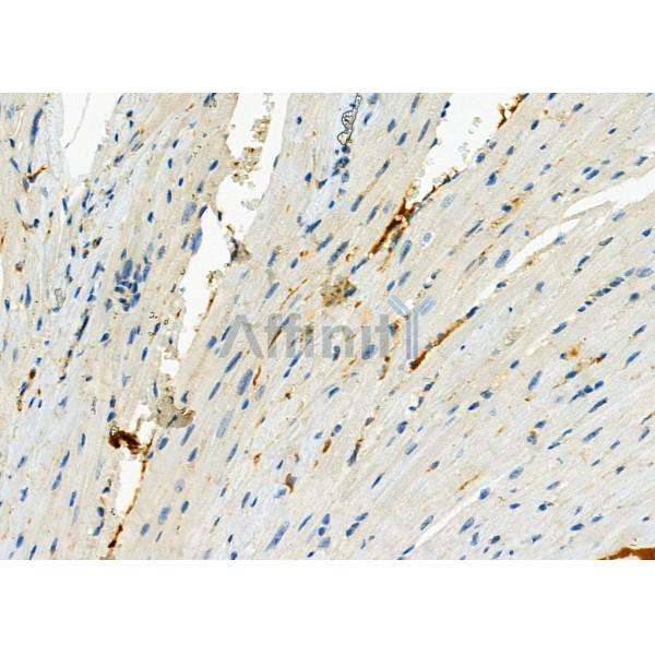 Валидация Affinity DF2266 - 12819