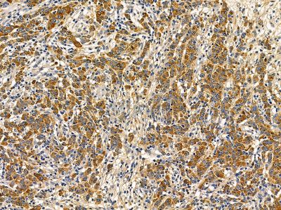 Валидация Affinity DF14366 - 10282