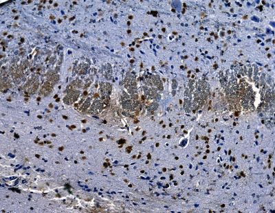 Валидация Affinity DF13797 - 9471