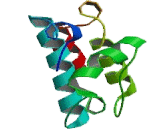 Cholecystokinin 4, Tetrapeptide (CCK4)