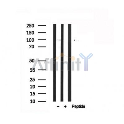 Валидация Affinity AF7541 - 4198