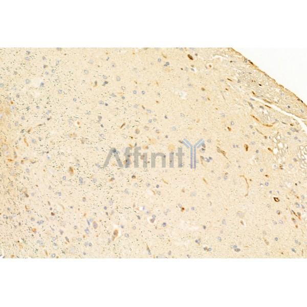 Валидация Affinity AF6022 - 3217