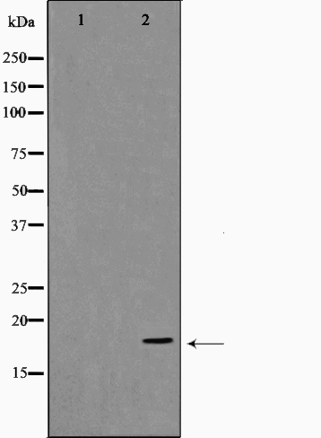 Валидация Affinity AF6286 - 3547