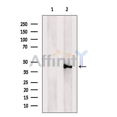 Валидация Affinity DF6789 - 18357