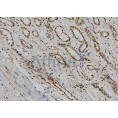 Валидация Affinity DF6609 - 18063