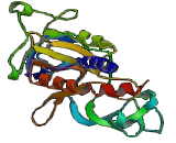Purinergic Receptor P2X, Ligand Gated Ion Channel 3 (P2RX3) Purinergic Receptor P2X, Ligand Gated Ion Channel 3 (P2RX3)