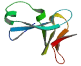 Interleukin 1 Epsilon (IL1e) Interleukin 1 Epsilon (IL1e)