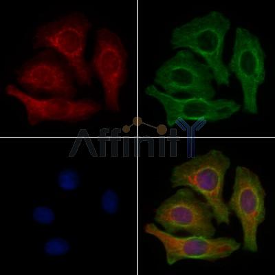 Валидация Affinity AF7853 - 4588