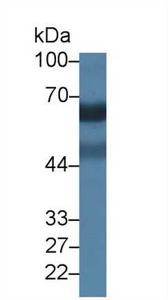 9894