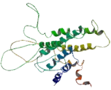 G Protein Coupled Receptor 39 (GPR39) G Protein Coupled Receptor 39 (GPR39)