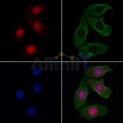 Валидация Affinity AF6185 - 3410