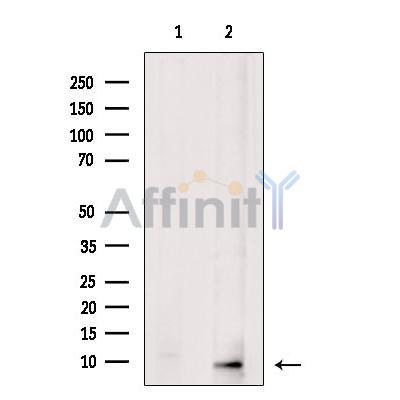 Валидация Affinity DF8518 - 20386