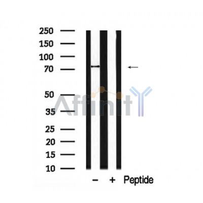 Валидация Affinity AF7924 - 4672