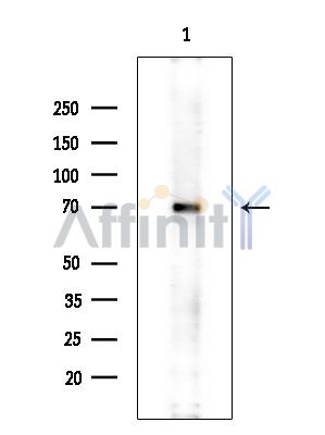 Валидация Affinity DF13919 - 9660