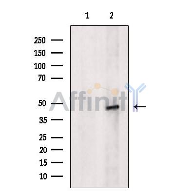 Валидация Affinity DF8452 - 20333