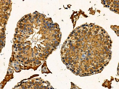 Валидация Affinity DF14356 - 10267