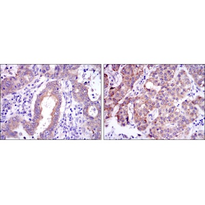 Валидация Affinity BF0372 - 5244