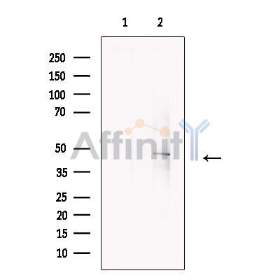 Валидация Affinity DF13717 - 9341