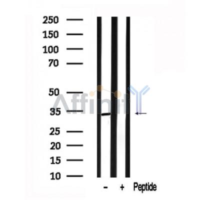 Валидация Affinity AF7628 - 4300