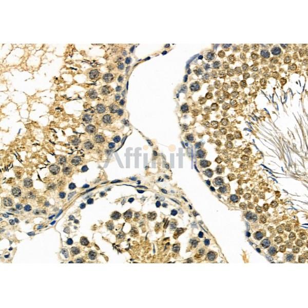 Валидация Affinity DF10087 - 5576