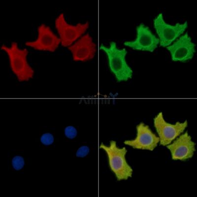 Валидация Affinity DF16024 - 12570