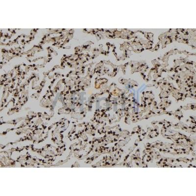 Валидация Affinity DF12267 - 6599