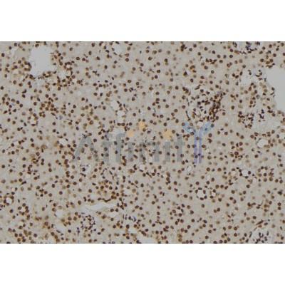 Валидация Affinity AF6184 - 3408