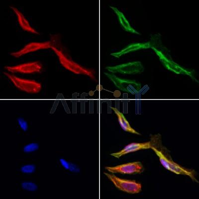 Валидация Affinity DF6611 - 18068