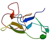 Signaling Lymphocytic Activation Molecule Family, Member 1 (SLAMF1) Signaling Lymphocytic Activation Molecule Family, Member 1 (SLAMF1)