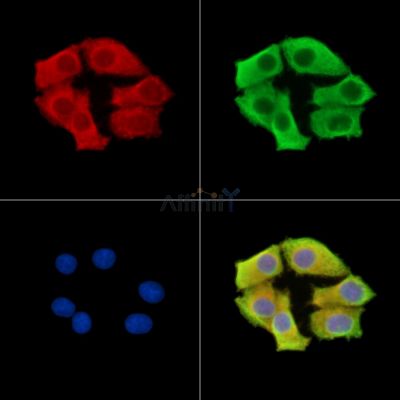 Валидация Affinity DF15531 - 11918