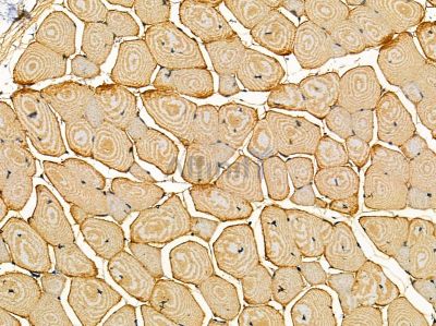 Валидация Affinity DF14364 - 10278