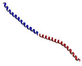 Cell Division Cycle And Apoptosis Regulator 2 (CCAR2)