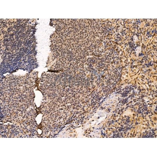 Валидация Affinity DF13376 - 8622