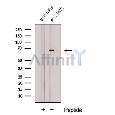 Валидация Affinity DF12590 - 7208