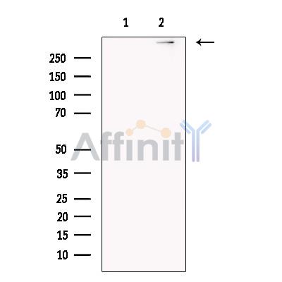 Валидация Affinity DF13659 - 9221