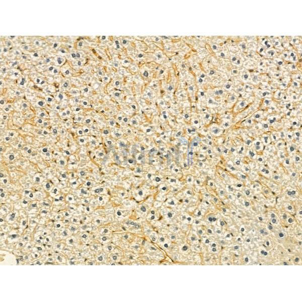 Валидация Affinity DF12233 - 6529