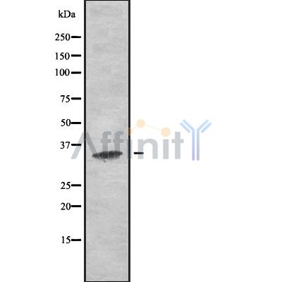 Валидация Affinity DF10250 - 5839