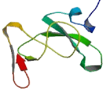 Endocrine Gland Derived Vascular Endothelial Growth Factor (EG-VEGF) Endocrine Gland Derived Vascular Endothelial Growth Factor (EG-VEGF)