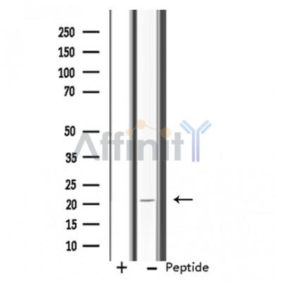 Валидация Affinity DF3696 - 14721