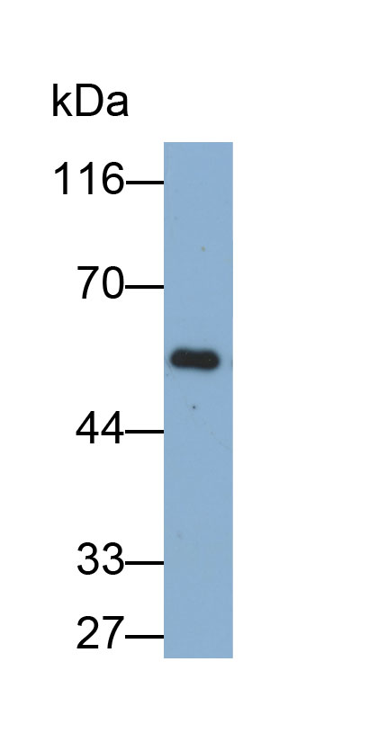 32820