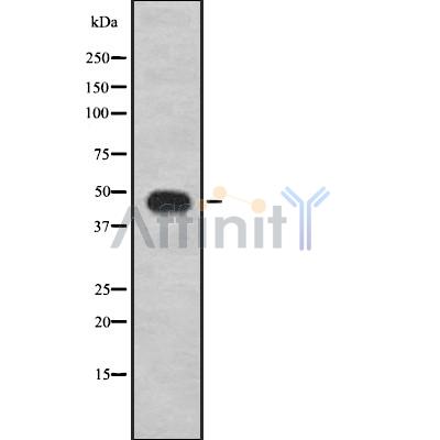 Валидация Affinity DF8418 - 20291