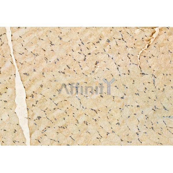 Валидация Affinity DF12065 - 6130