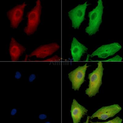 Валидация Affinity DF14050 - 9828