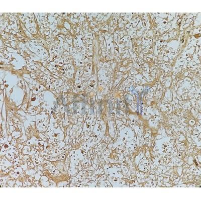 Валидация Affinity DF4927 - 16749