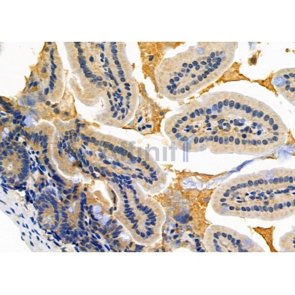 Валидация Affinity DF10095 - 5589