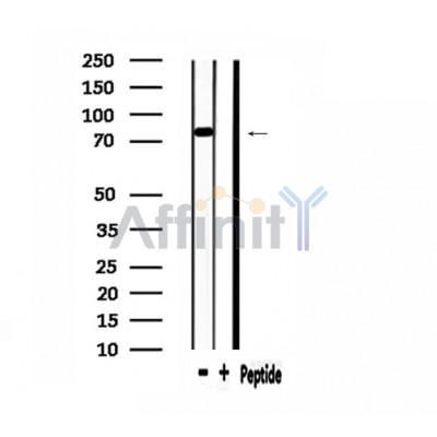 Валидация Affinity DF3127 - 13906
