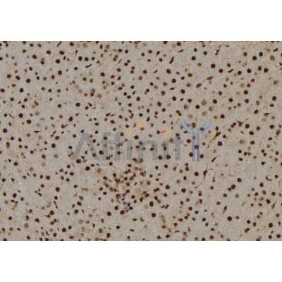 Валидация Affinity AF6168 - 3387