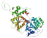 SWI/SNF Related, Matrix Associated Actin, Dependent Regulator Of Chromatin, A Containing DEAD/H Box 1 (SMARCAD1)